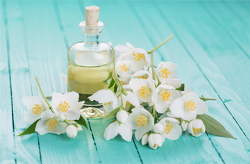 Dầu hoa anh thảo: Tái tạo làn da